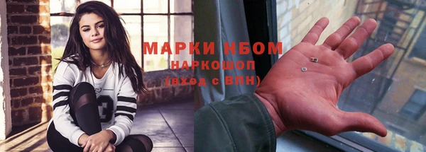 прущие грибы Беломорск
