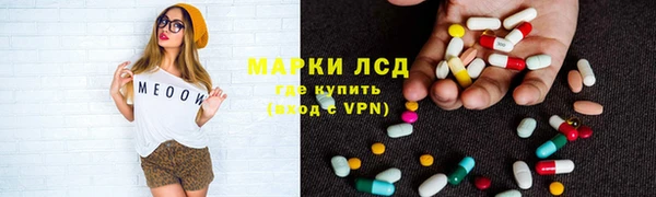прущие грибы Беломорск