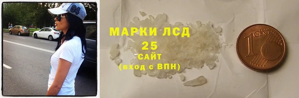 прущие грибы Беломорск