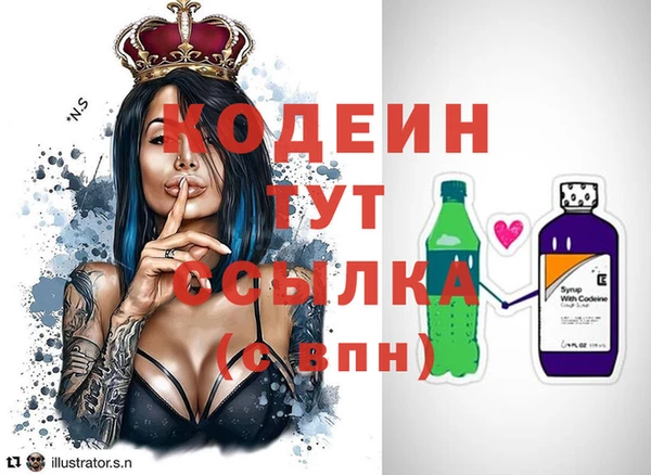 прущие грибы Беломорск