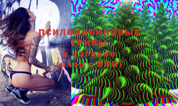 бошки Белокуриха