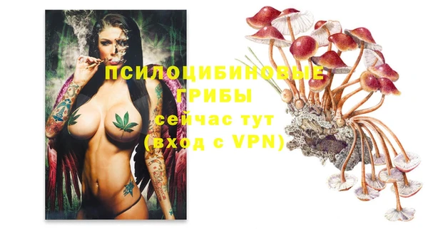 прущая мука Белоозёрский