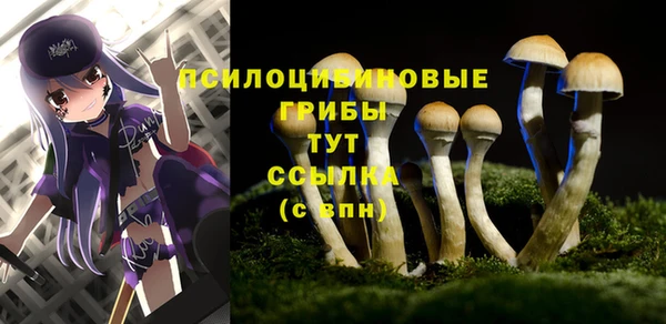бошки Белокуриха