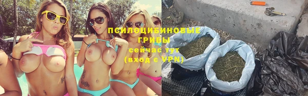 бошки Белокуриха