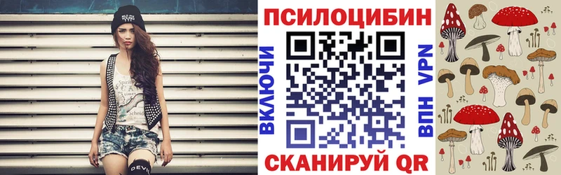 купить наркотик  Таштагол  дарк нет официальный сайт  Псилоцибиновые грибы MAGIC MUSHROOMS 